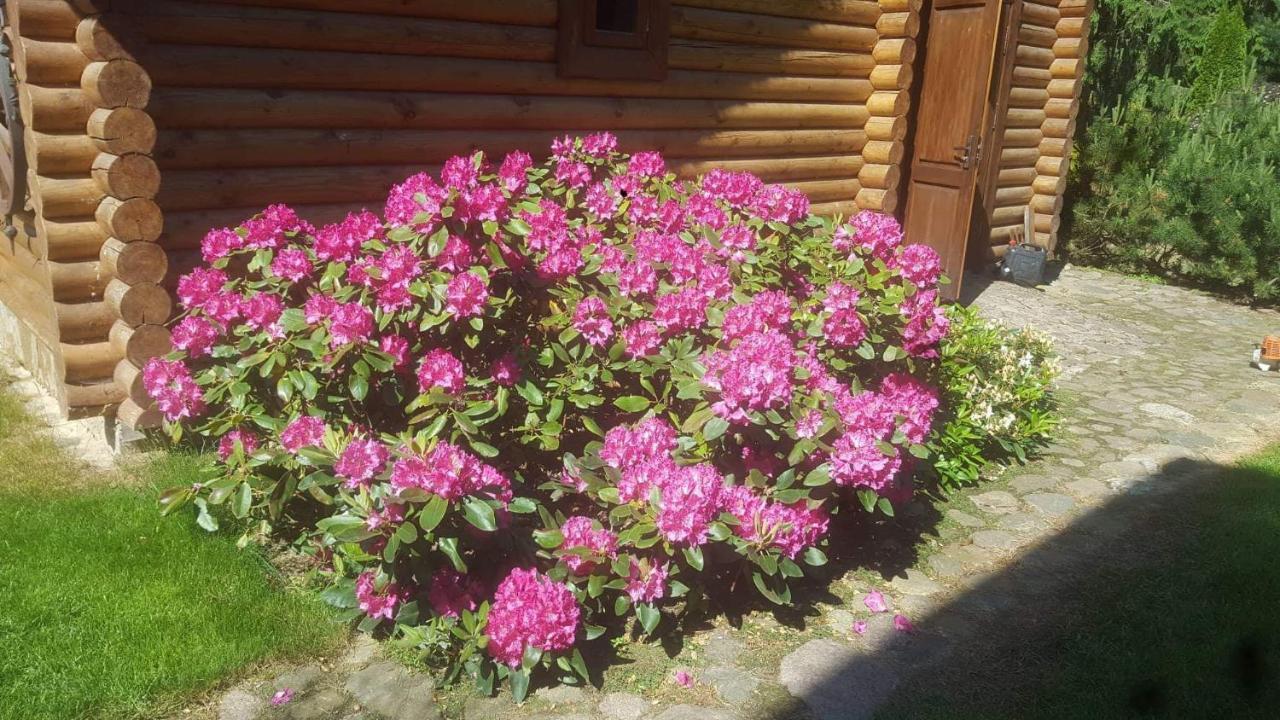Sveciu Namelis Hotel Šiauliai Eksteriør billede